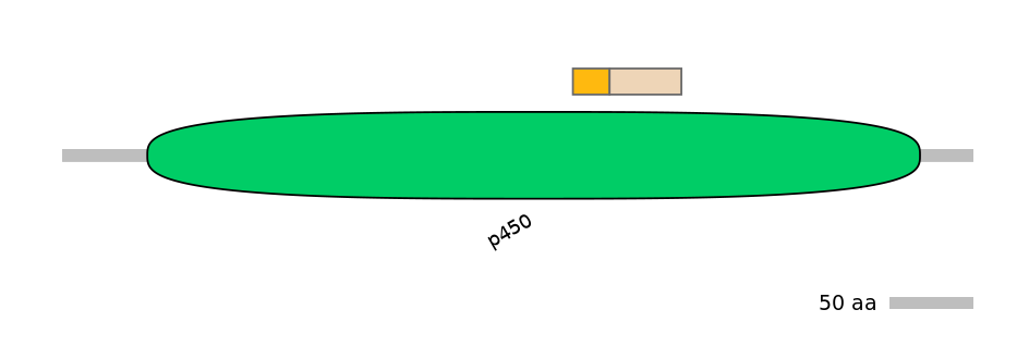 MmuINT0071541-EXC