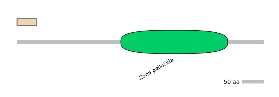 MmuINT0072409-EXC