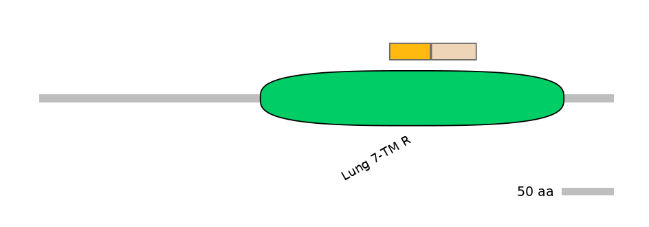 MmuINT0072807-EXC