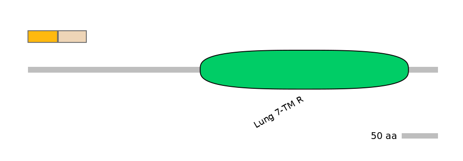 MmuINT0072821-EXC