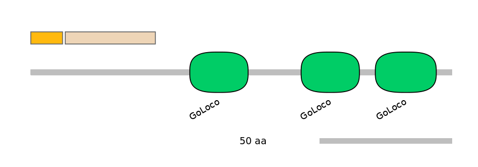 MmuINT0073459-EXC