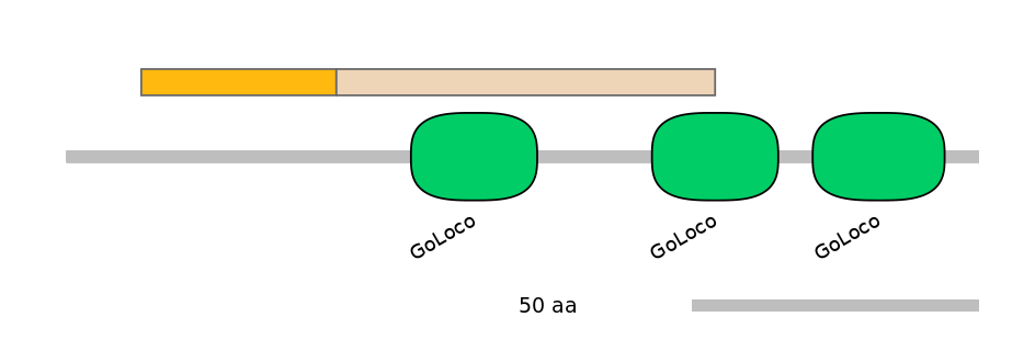 MmuINT0073460-EXC