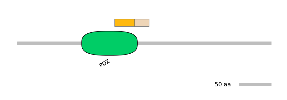 MmuINT0073612-EXC