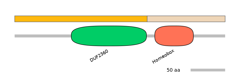 MmuINT0074703-EXC