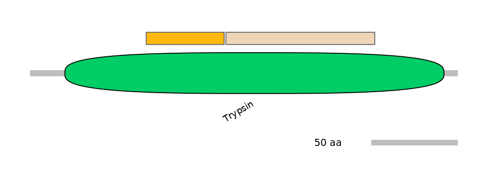 MmuINT0075438-EXC