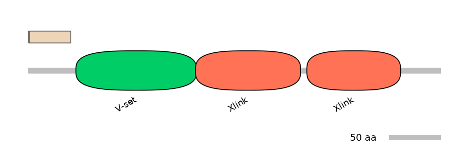 MmuINT0075930-EXC