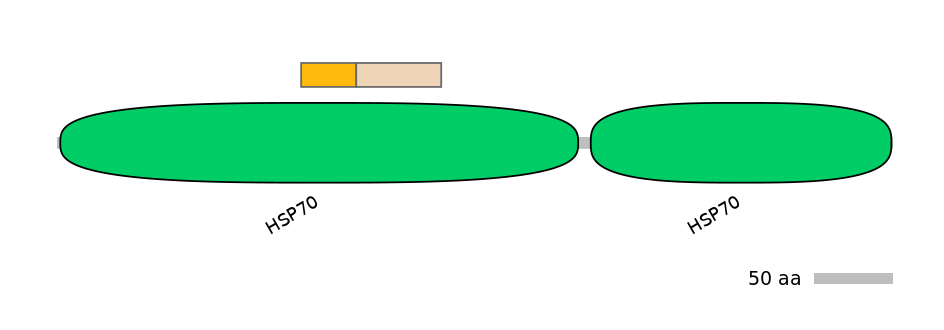 MmuINT0079339-EXC