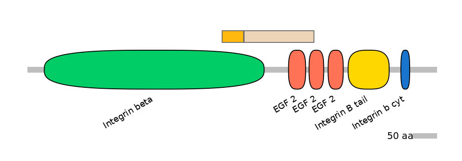 MmuINT0084194-EXC