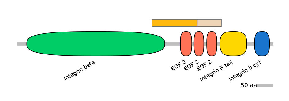 MmuINT0084197-EXC