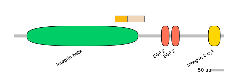 MmuINT0084223-EXC