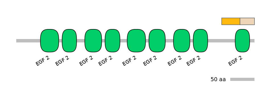 MmuINT0084238-EXC