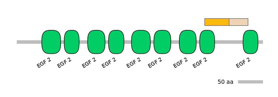 MmuINT0084246-EXC