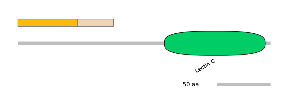 MmuINT0088263-EXC