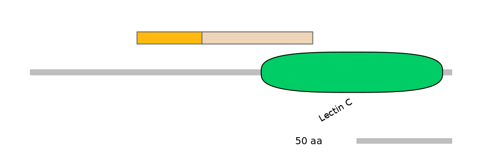 MmuINT0088264-EXC