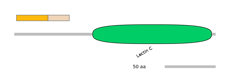 MmuINT0088267-EXC