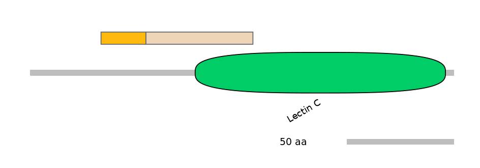 MmuINT0088268-EXC