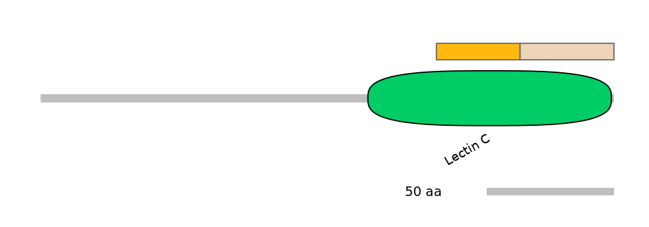 MmuINT0088276-EXC