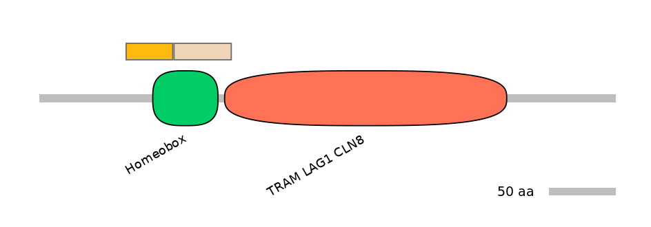 MmuINT0090062-EXC
