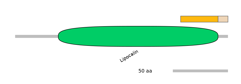 MmuINT0090243-EXC
