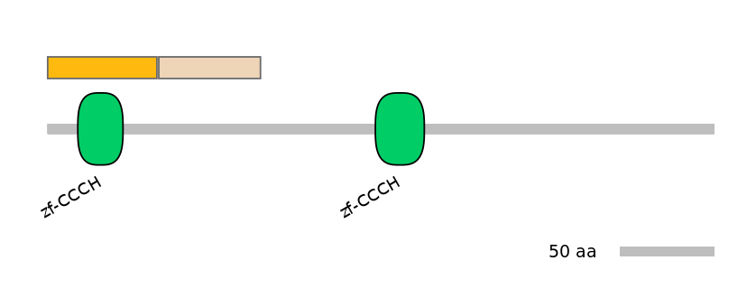 MmuINT0096312-EXC