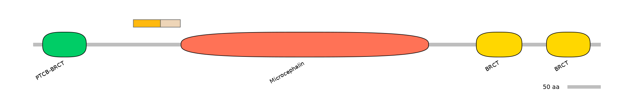 MmuINT0096775-EXC