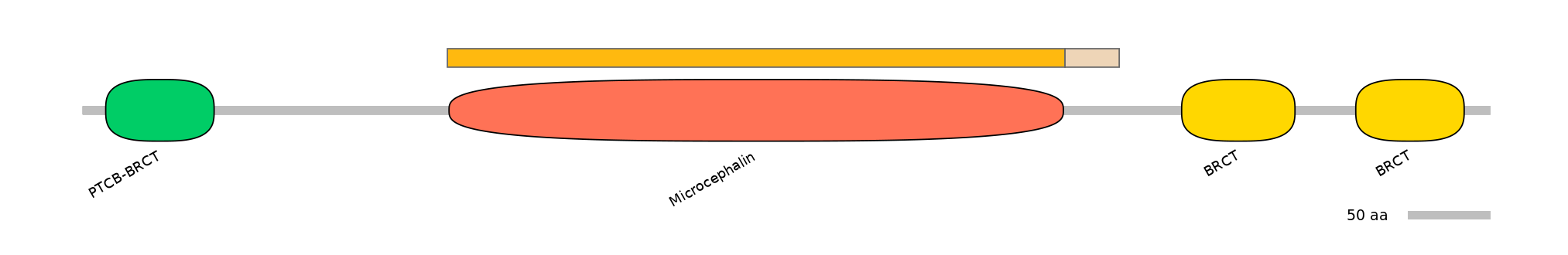 MmuINT0096777-EXC