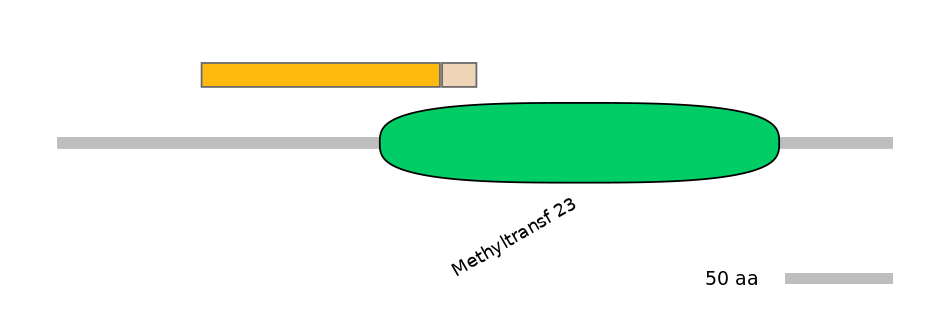 MmuINT0098031-EXC