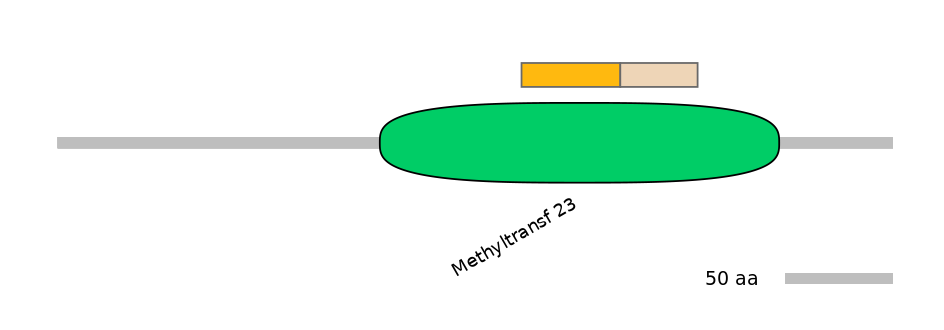 MmuINT0098034-EXC