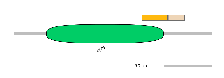 MmuINT0098057-EXC