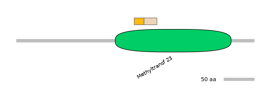 MmuINT0098069-EXC