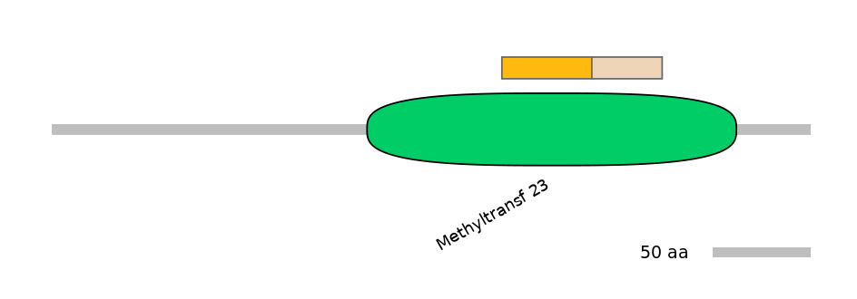 MmuINT0098071-EXC