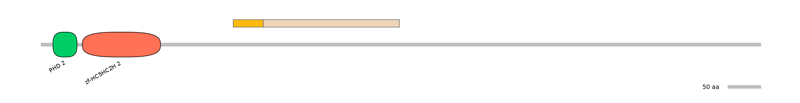 MmuINT0099406-EXC