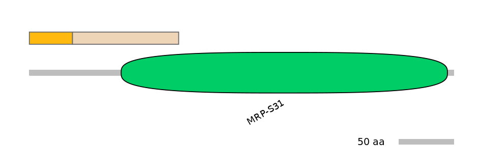 MmuINT0100964-EXC