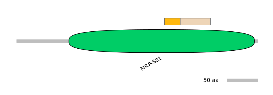 MmuINT0100968-EXC