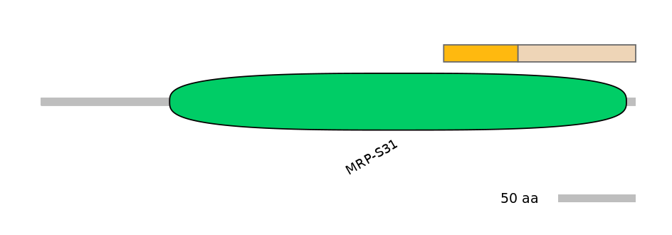 MmuINT0100969-EXC