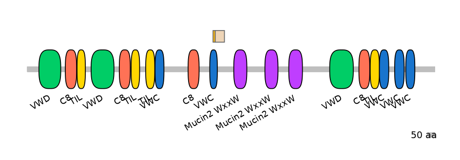 MmuINT0102419-EXC