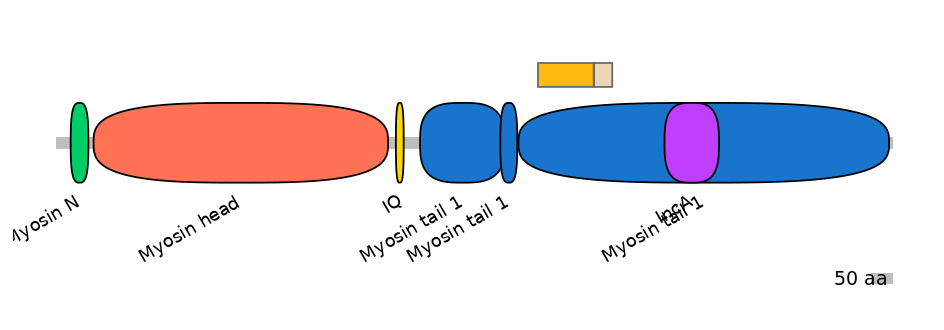 MmuINT0103312-EXC