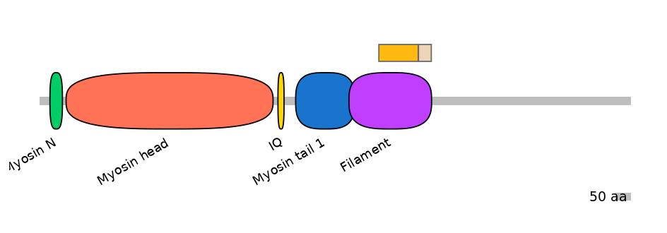 MmuINT0103470-EXC