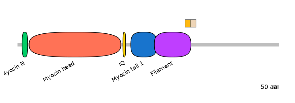 MmuINT0103471-EXC