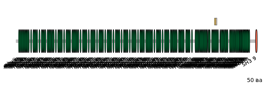 MmuINT0107190-EXC