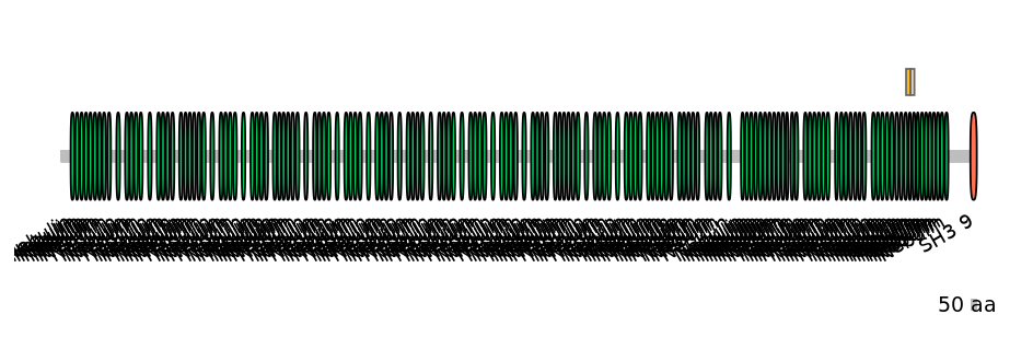 MmuINT0107212-EXC