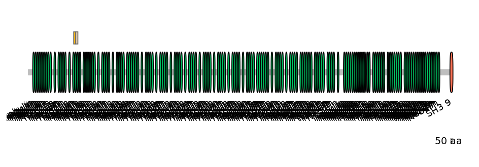 MmuINT0107237-EXC