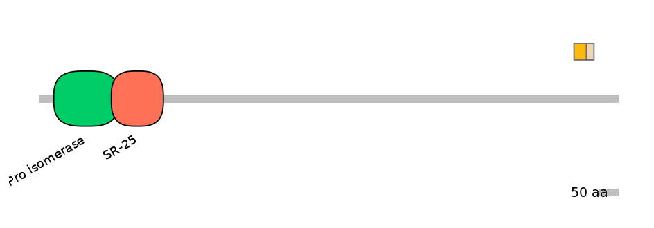 MmuINT0108804-EXC