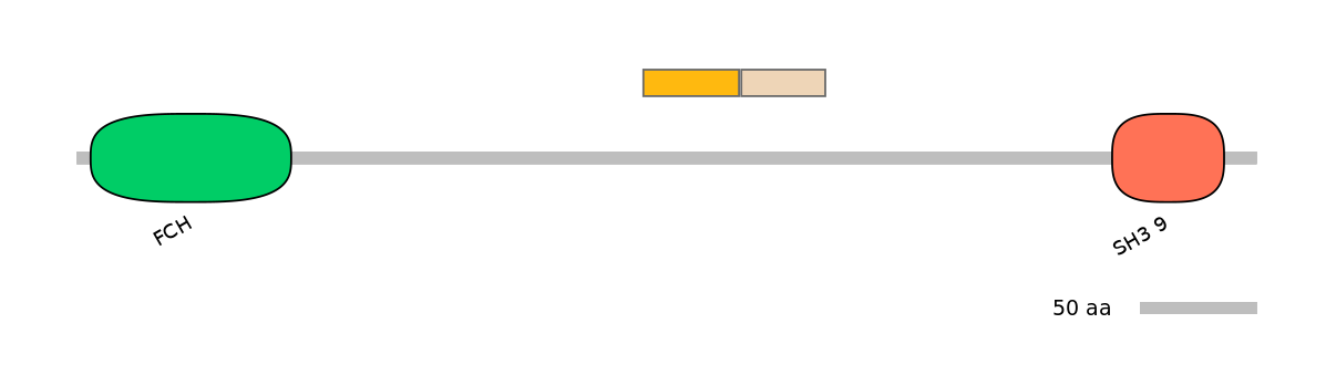MmuINT0109714-EXC
