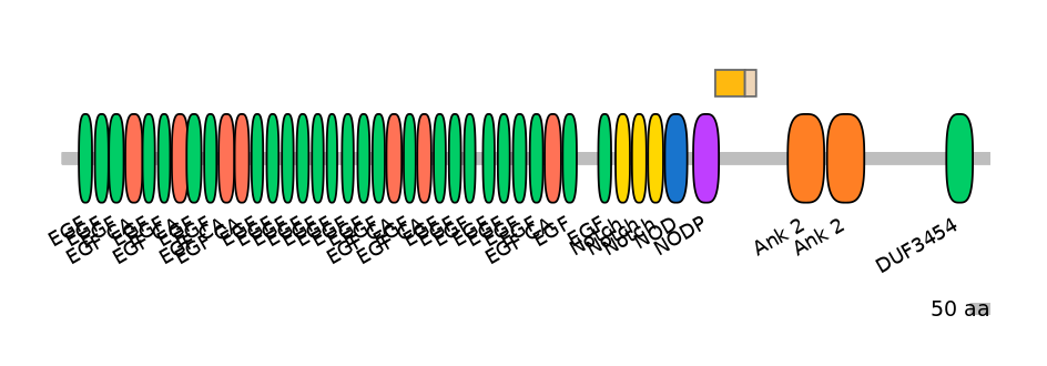 MmuINT0109813-EXC