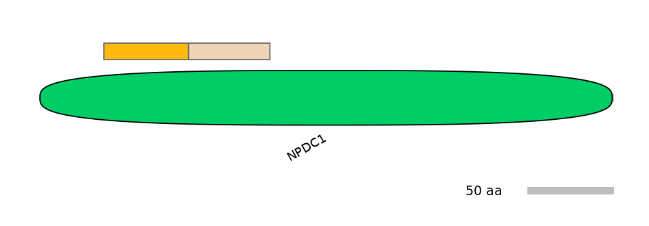 MmuINT0110053-EXC