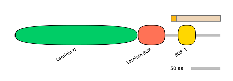MmuINT0111274-EXC
