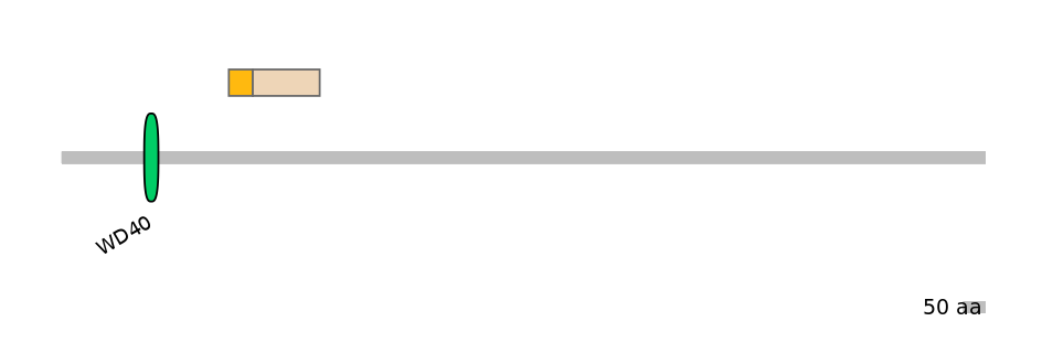 MmuINT0111926-EXC