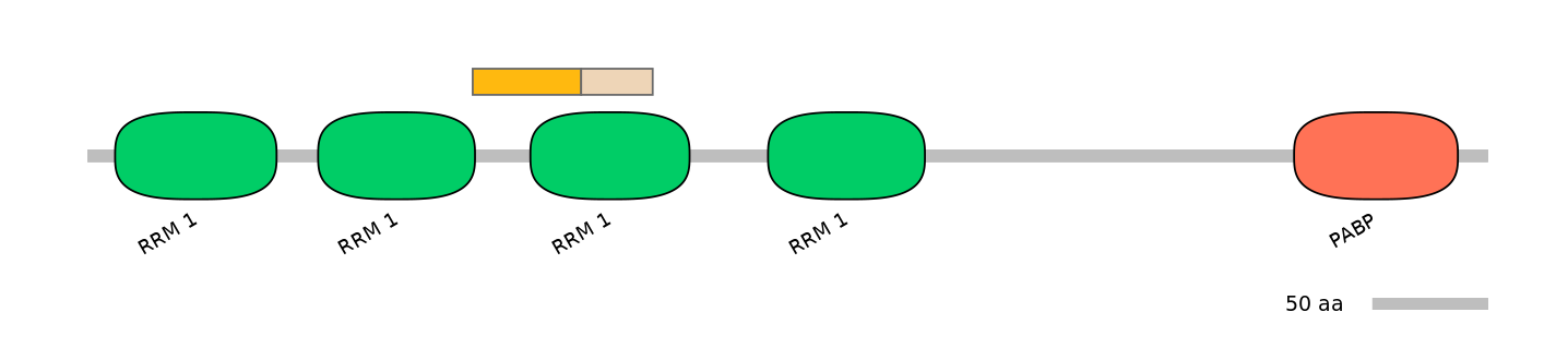 MmuINT0114454-EXC