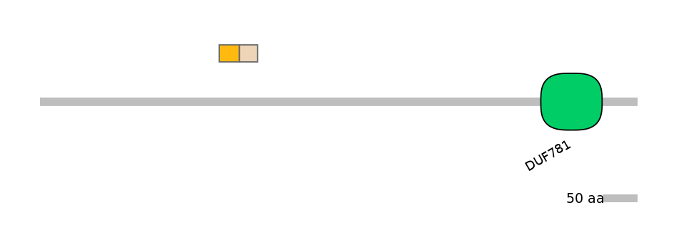 MmuINT0120067-EXC